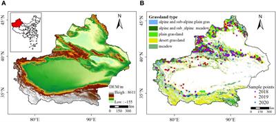 Monitoring and influencing factors of grassland livestock overload in Xinjiang from 1982 to 2020